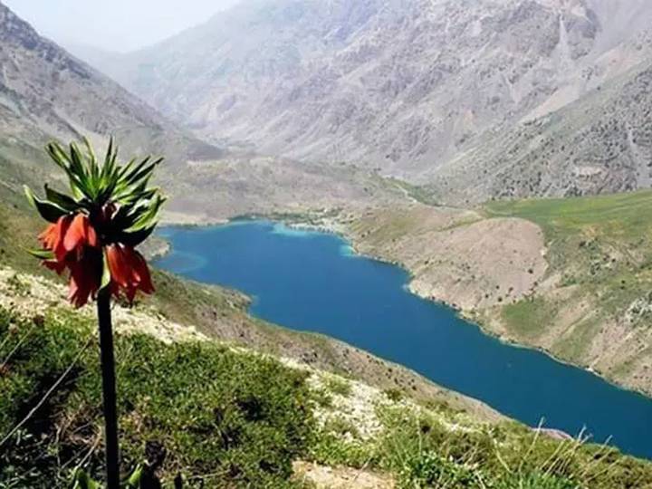 دریاچه گهر